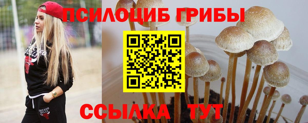 Южноуральск  Псилоцибиновые грибы мухоморы  Вход с VPN 